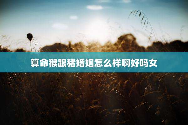 算命猴跟猪婚姻怎么样啊好吗女