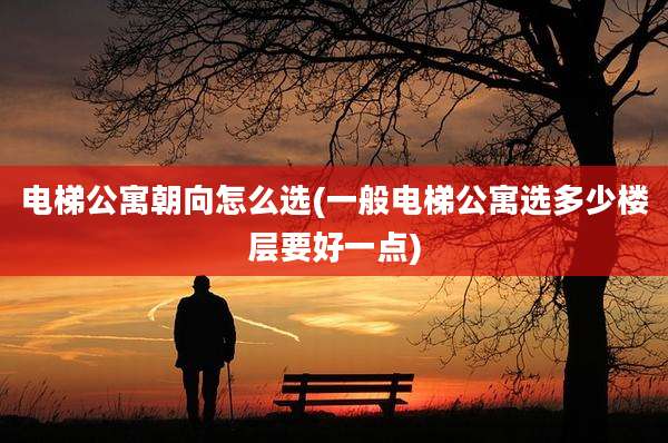 电梯公寓朝向怎么选(一般电梯公寓选多少楼层要好一点)