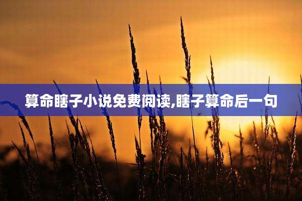 算命瞎子小说免费阅读,瞎子算命后一句