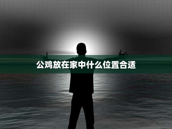 公鸡放在家中什么位置合适