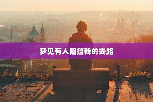 梦见有人阻挡我的去路