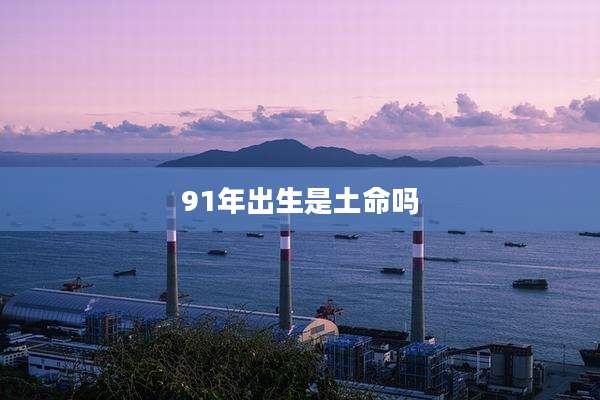 91年出生是土命吗