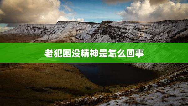老犯困没精神是怎么回事