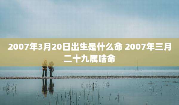 2007年3月20日出生是什么命 2007年三月二十九属啥命