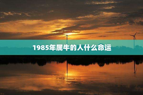 1985年属牛的人什么命运