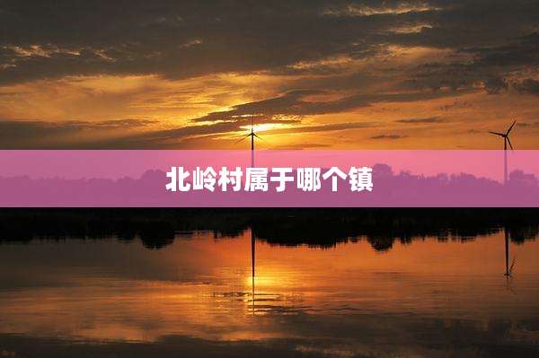 北岭村属于哪个镇