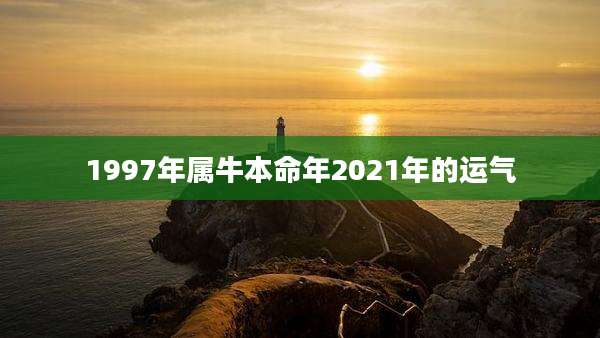 1997年属牛本命年2021年的运气