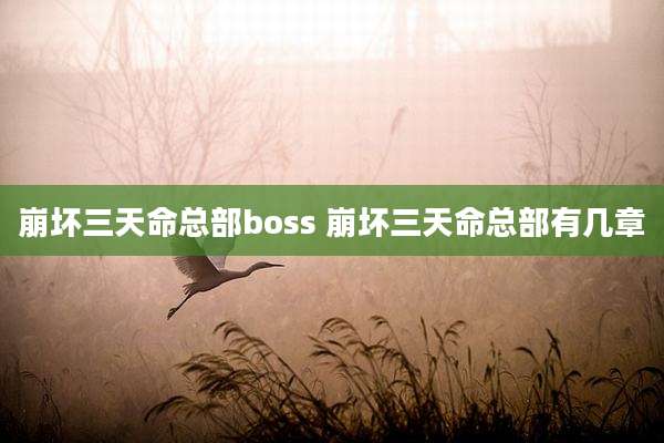崩坏三天命总部boss 崩坏三天命总部有几章
