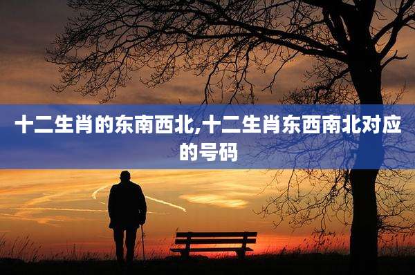 十二生肖的东南西北,十二生肖东西南北对应的号码