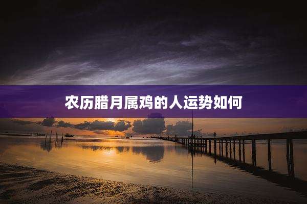 农历腊月属鸡的人运势如何