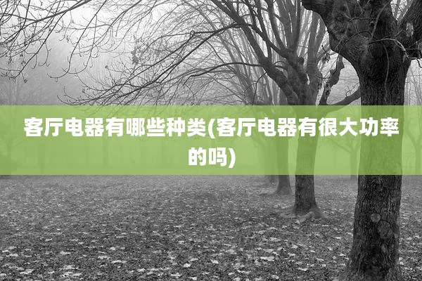 客厅电器有哪些种类(客厅电器有很大功率的吗)