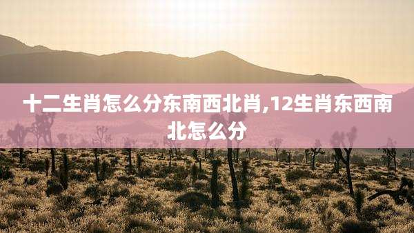 十二生肖怎么分东南西北肖,12生肖东西南北怎么分