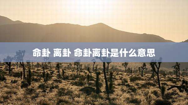命卦 离卦 命卦离卦是什么意思