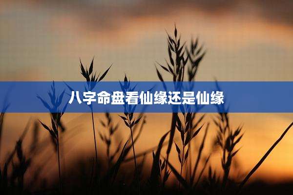 八字命盘看仙缘还是仙缘