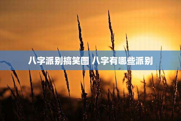 八字派别搞笑图 八字有哪些派别