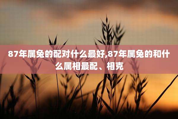 87年属兔的配对什么最好,87年属兔的和什么属相最配、相克