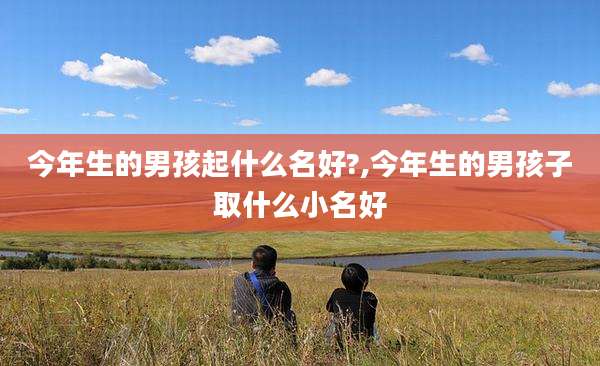 今年生的男孩起什么名好?,今年生的男孩子取什么小名好