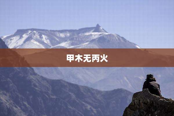 甲木无丙火