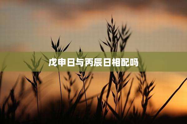 戊申日与丙辰日相配吗
