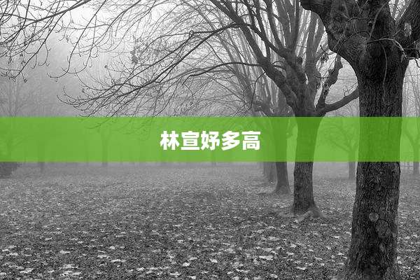 林宣妤多高