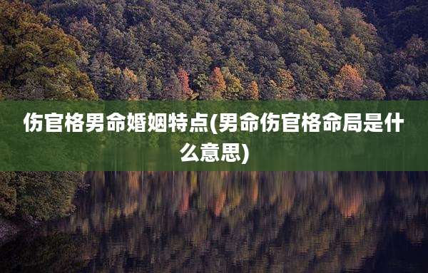 伤官格男命婚姻特点(男命伤官格命局是什么意思)