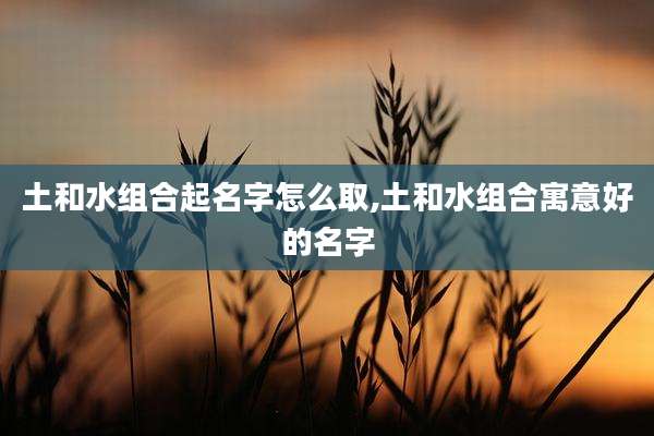 土和水组合起名字怎么取,土和水组合寓意好的名字