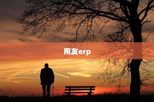 用友erp