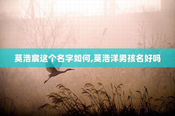 莫浩宸这个名字如何,莫浩洋男孩名好吗