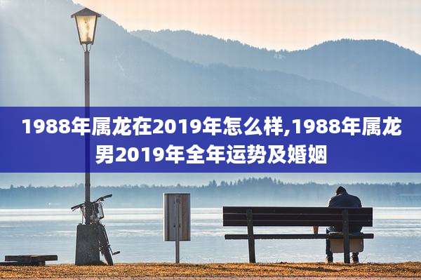 1988年属龙在2019年怎么样,1988年属龙男2019年全年运势及婚姻