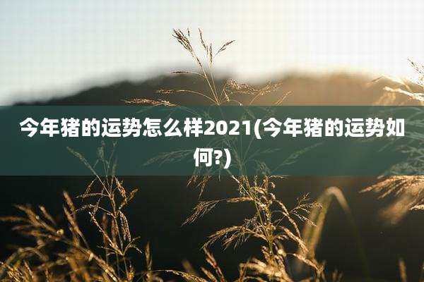 今年猪的运势怎么样2021(今年猪的运势如何?)