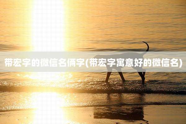 带宏字的微信名俩字(带宏字寓意好的微信名)