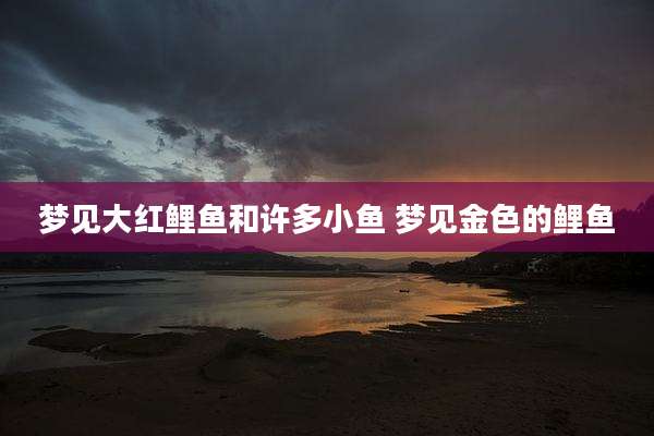 梦见大红鲤鱼和许多小鱼 梦见金色的鲤鱼