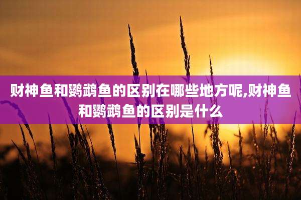 财神鱼和鹦鹉鱼的区别在哪些地方呢,财神鱼和鹦鹉鱼的区别是什么