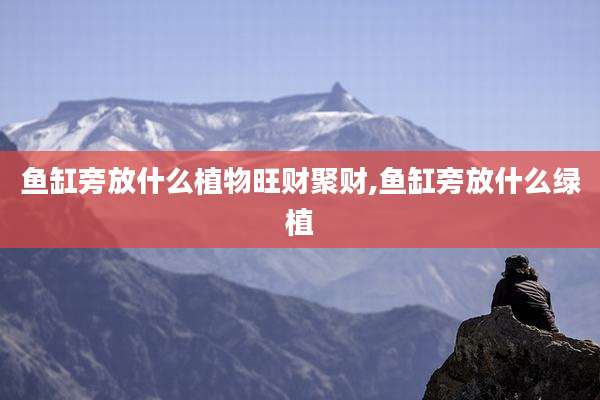 鱼缸旁放什么植物旺财聚财,鱼缸旁放什么绿植