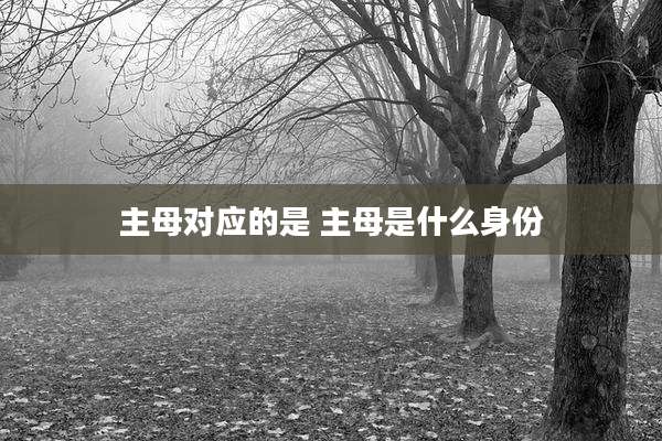 主母对应的是 主母是什么身份