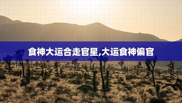 食神大运合走官星,大运食神偏官