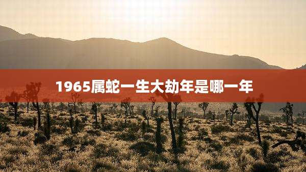 1965属蛇一生大劫年是哪一年