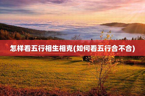 怎样看五行相生相克(如何看五行合不合)