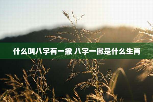 什么叫八字有一撇 八字一撇是什么生肖