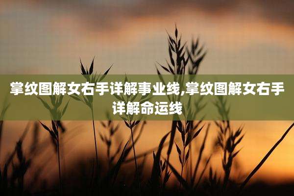 掌纹图解女右手详解事业线,掌纹图解女右手详解命运线