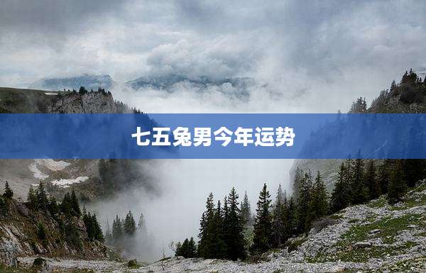 七五兔男今年运势