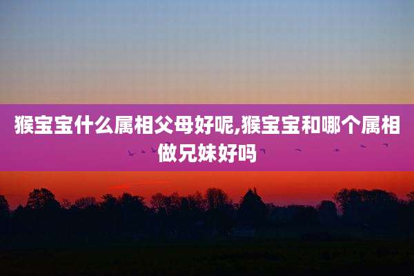 猴宝宝什么属相父母好呢,猴宝宝和哪个属相做兄妹好吗
