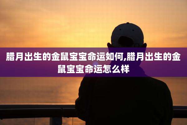 腊月出生的金鼠宝宝命运如何,腊月出生的金鼠宝宝命运怎么样