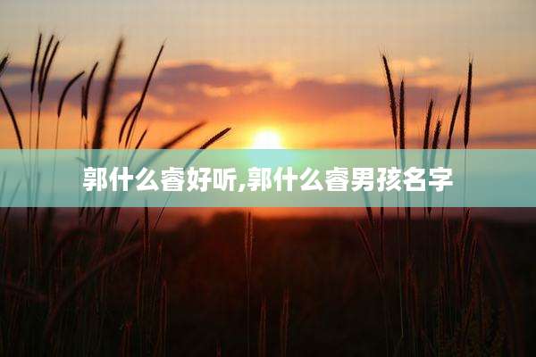 郭什么睿好听,郭什么睿男孩名字