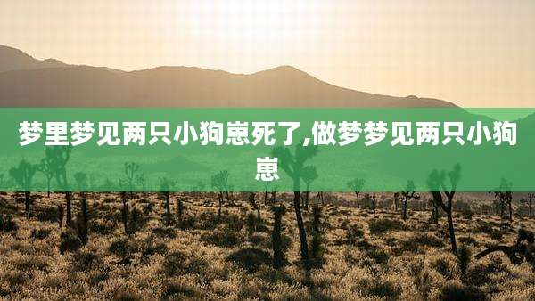 梦里梦见两只小狗崽死了,做梦梦见两只小狗崽