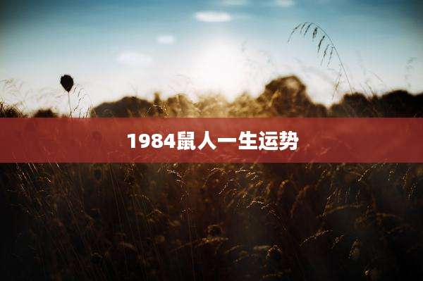 1984鼠人一生运势