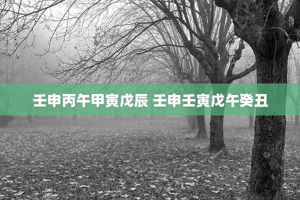 壬申丙午甲寅戊辰 壬申壬寅戊午癸丑