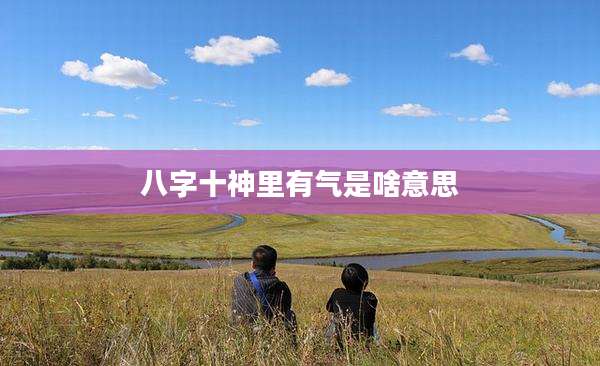 八字十神里有气是啥意思