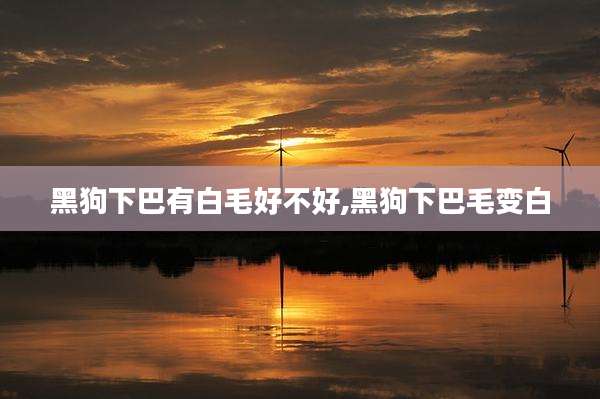 黑狗下巴有白毛好不好,黑狗下巴毛变白