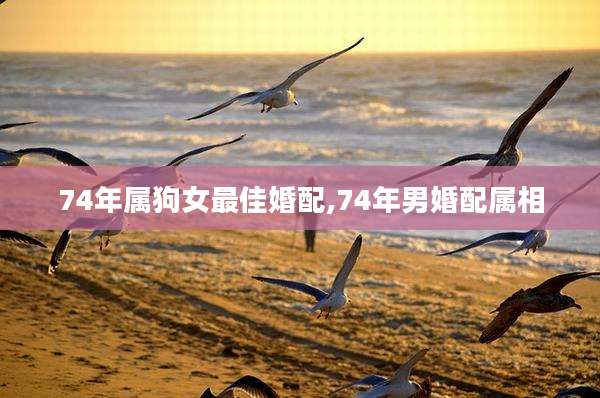74年属狗女最佳婚配,74年男婚配属相